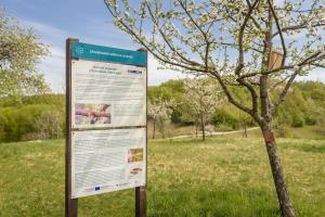 Cerckova domacija_april 2020_POMANJSANE-29-13